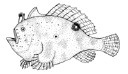 External Image