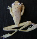 External Image