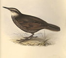 External Image