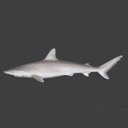 External Image