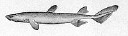 External Image