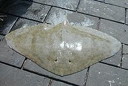 External Image