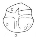 External Image