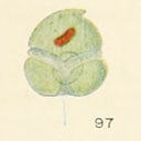 External Image