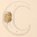 External Image