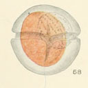 External Image