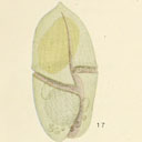 External Image