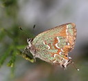 External Image