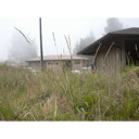 External Image