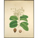 External Image