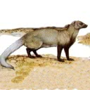 External Image
