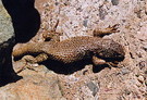 External Image