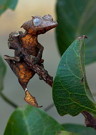 External Image